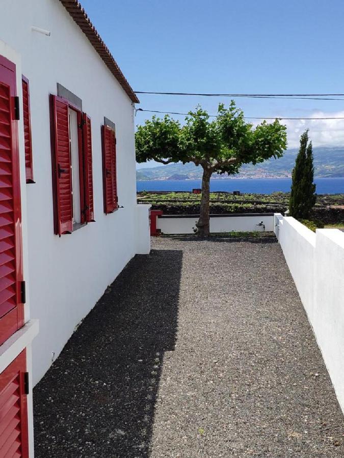 Casa Da Ilha Villa Madalena  Ngoại thất bức ảnh